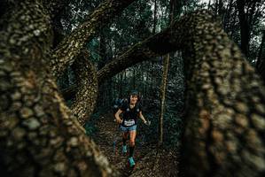 BIB: 
                            <button type="button" onclick="openModal(25673933)" class="btn btn-primary btn-sm float-right btn-popup" data-toggle="modal" data-target=".modal-high-quality">
                        <i class="fas fa-shopping-cart"></i> Add to Cart
                    </button>
                                            <button type="button" onclick="isThisMe(25673933, true)" class="btn btn-success btn-sm float-right btn-popup btn-isme hidden" data-toggle="tooltip" data-placement="bottom" title="นี่คือรูปของคุณใช่ไหม คลิกที่นี่เพื่อเอาเข้าอัลบั้ม">
                        <i class="fas fa-plus"></i> Add to album
                    </button>
                    <button type="button" onclick="isThisMe(25673933, false)" class="btn btn-warning btn-sm float-right btn-popup btn-isnotme hidden">
                        <i class="fas fa-ban"></i> Remove from album
                    </button>